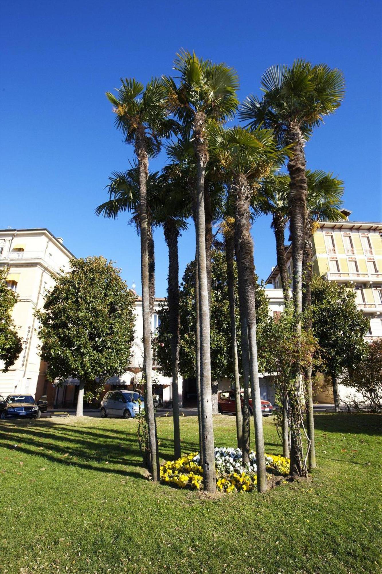 Appartamenti Lungolago Verbania Extérieur photo